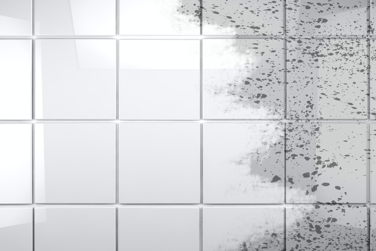 Cleaning the Grout in the Bathroom