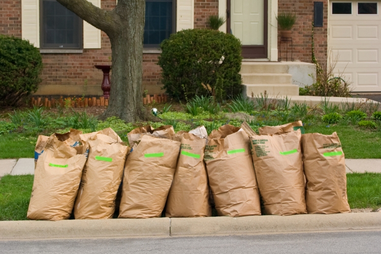 Where to dispose of yard waste NYC
